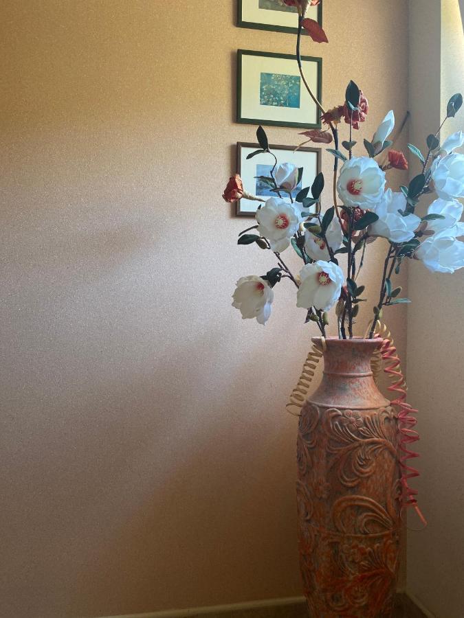 Apartman Mare Tivat