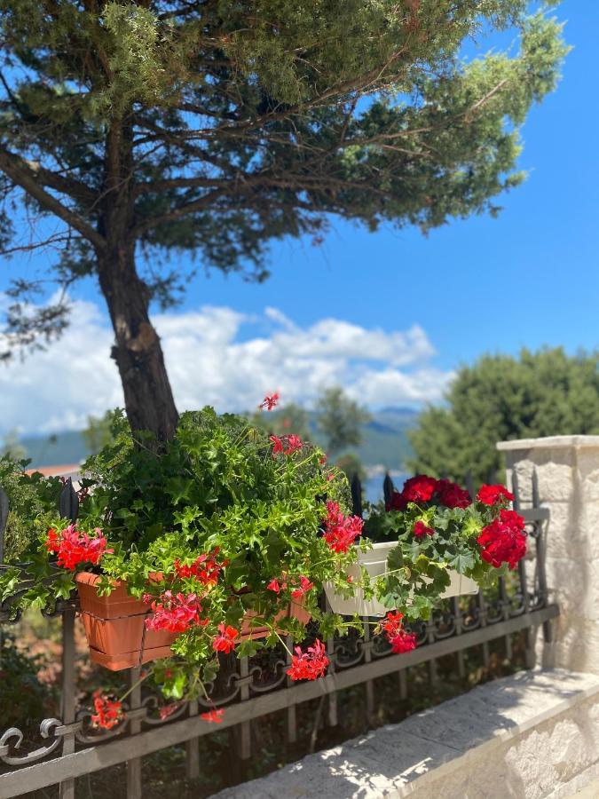 Mare Apartment Tivat
