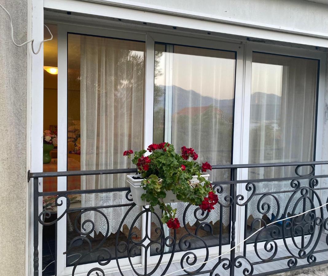 Mare * Tivat
