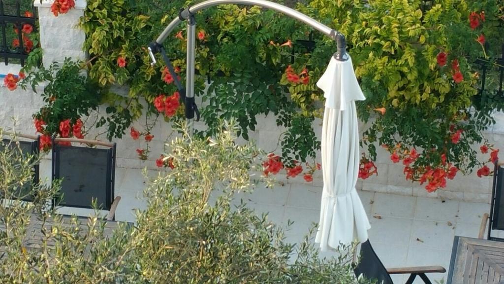Mare Apartment Tivat