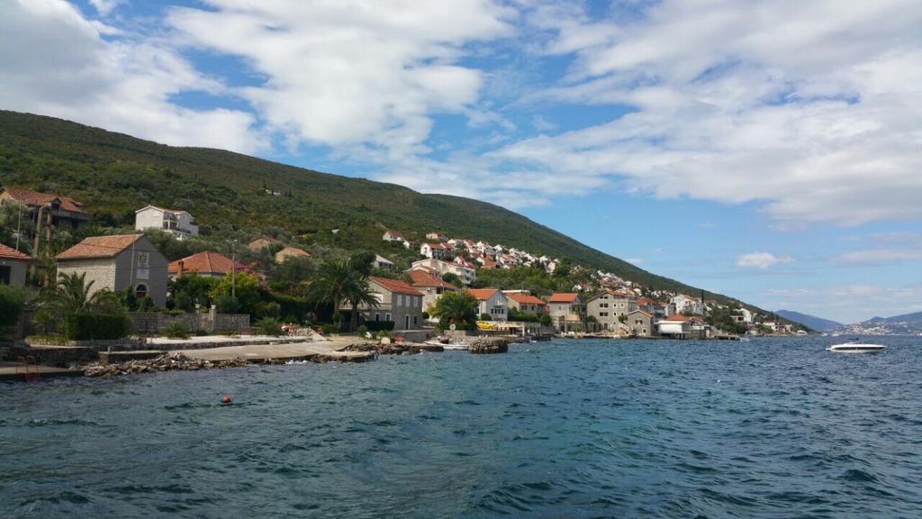 Mare *