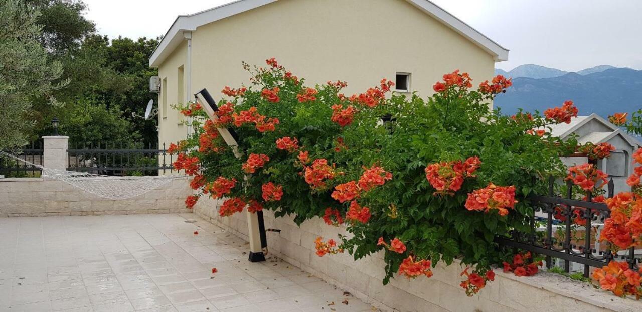 Mare Apartment